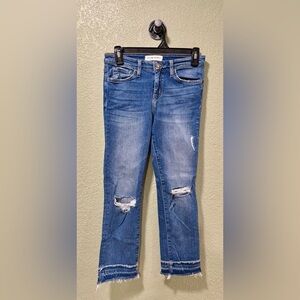 Flying Monkey Blue Ankle Jeans